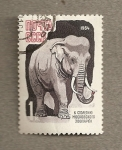 Stamps Russia -  Elefante