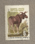 Stamps Russia -  Reno