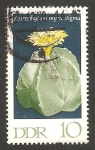 Stamps Germany -  cactus, astrophytum myriostigma