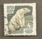 Stamps Russia -  Oso polar