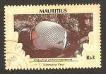 Stamps Mauritius -  protección del medio ambiente, visión submarina