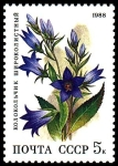Stamps Russia -  CAMPANULA LATIFOLIA
