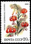Stamps Russia -  LILIUM MARTAGON