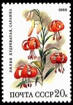 Stamps : Europe : Russia :  LILIUM MARTAGON