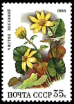 Stamps Russia -  FICARIA VERNA FLORE