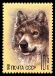 Stamps Russia -  WOLF