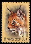 Stamps Russia -  LYNX