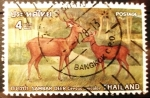 Stamps : Asia : Thailand :  Ciervos