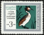 Stamps Bulgaria -  BULGARIA - Reserva natural de Srebarna