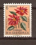 Sellos de America - El Salvador -  FLOR  DE  PASCUA