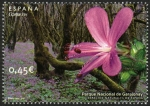 Stamps Spain -  ESPAÑA - Parque nacional de Garajonay