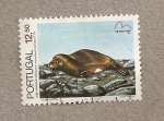 Stamps Portugal -  Lobo marino