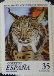 Stamps : Europe : Spain :  Fauna Española en peligro de extinción. Lince Ibércio