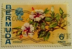 Stamps : America : Bermuda :  Hibiscus