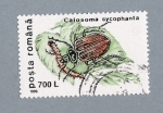 Sellos de Europa - Rumania -  Colosoma Sycophanta