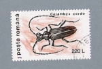 Stamps Romania -  Cerambyx Cerdo
