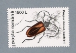 Stamps Romania -  Purpuricenus Kaehleri