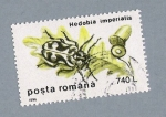 Stamps Romania -  Hedobia Imperialis