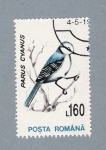 Stamps : Europe : Romania :  Parus Cyanus