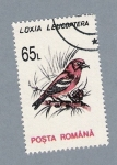 Stamps Romania -  Loxia Leucoptera