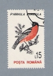 Stamps : Europe : Romania :  Pyrrhula Pyrrhula