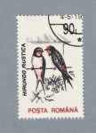 Stamps Romania -  Hirundo Rustica