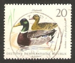 Sellos de Europa - Alemania -  1055 - patos