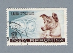 Stamps : Europe : Romania :  Laika Primulcalator in Cosmos