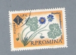 Stamps Romania -  Hepatica Transilbanica