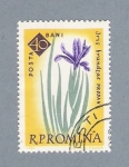 Stamps : Europe : Romania :  Iris Brandzae
