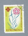 Stamps : Europe : Romania :  Dianthus Callizonus