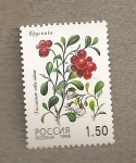 Sellos de Europa - Rusia -  Vaccinium vitis-idaea