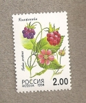 Stamps Russia -  Rubus arcticus