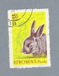 Sellos de Europa - Rumania -  Conejo