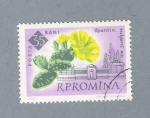 Stamps : Europe : Romania :  Opuntia Vulgaris