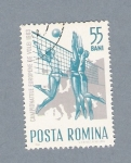 Stamps Romania -  Voleibol