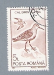 Stamps : Europe : Romania :  Calidris Alpina