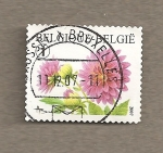 Sellos de Europa - Blgica -  Flor