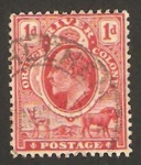 Stamps South Africa -  colonia de río grande - eduardo VII