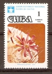 Stamps Cuba -  MELOCACTUS  GUITARTI