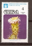 Sellos de America - Cuba -  LEPTOCEREUS  WRIGHTII