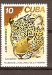 Stamps Cuba -  LEOPARDO