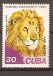 Stamps Cuba -  LEÓN