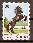 Sellos de America - Cuba -  CABALLOS  (EQUINOS)
