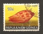 Stamps Oceania - Papua New Guinea -  Caracola voluta ruckeri 