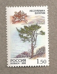 Stamps Russia -  Arbol en colina