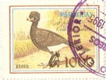 Stamps : America : Paraguay :  crax