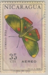 Stamps : America : Nicaragua :  Lymnias pixa