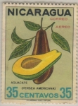 Stamps : America : Nicaragua :  Persea americana