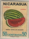 Stamps : America : Nicaragua :  Citrullus vulgaris